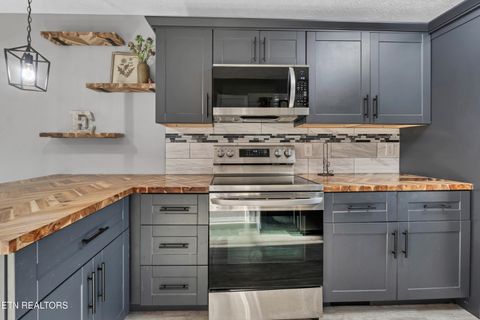 Tiny photo for 2028 Cochran Place, Maryville, TN 37803 (MLS # 1325878)