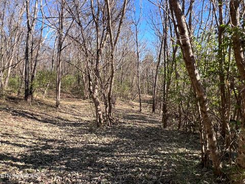Tiny photo for OFF Jefferson St, White Pine, TN 37890 (MLS # 1322753)