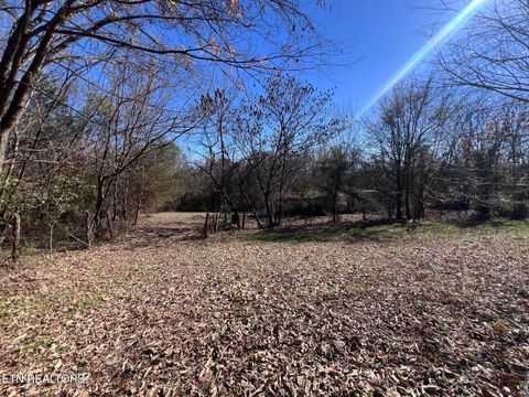 Tiny photo for OFF Jefferson St, White Pine, TN 37890 (MLS # 1322753)