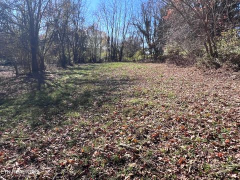 Tiny photo for OFF Jefferson St, White Pine, TN 37890 (MLS # 1322753)