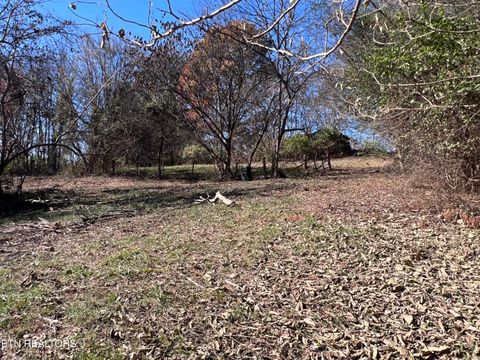 Photo of OFF Jefferson St, White Pine, TN 37890 (MLS # 1322753)