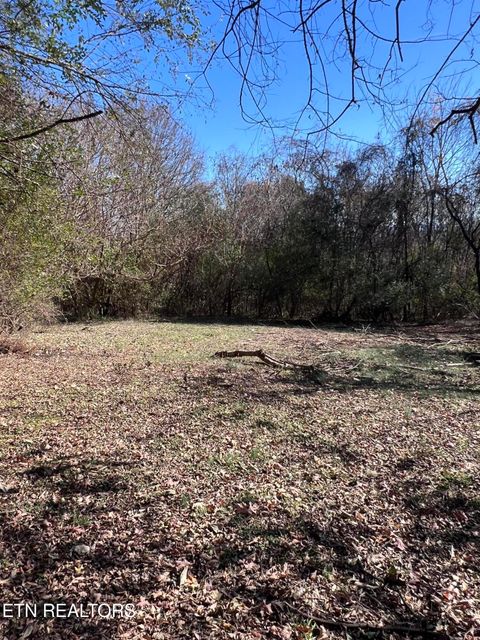 Tiny photo for OFF Jefferson St, White Pine, TN 37890 (MLS # 1322753)