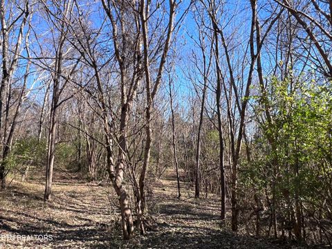 Tiny photo for OFF Jefferson St, White Pine, TN 37890 (MLS # 1322753)