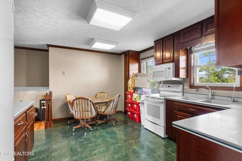 Tiny photo for 121 E Village Circle, LaFollette, TN 37766 (MLS # 1341710)