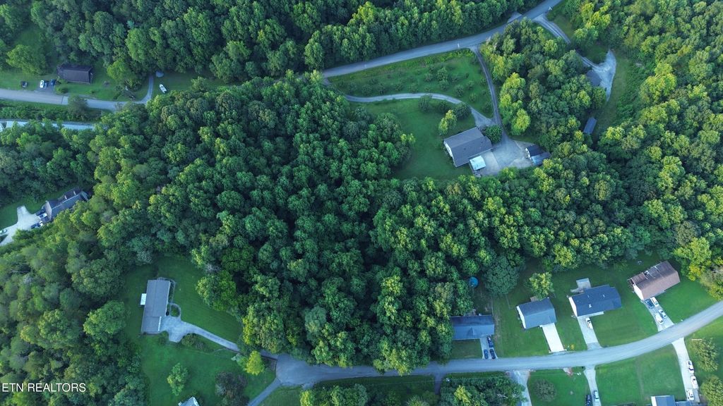 Photo of 46 Ashley Lane, Dayton, TN 37321 (MLS # 1309974)