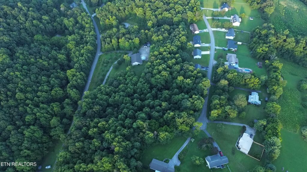 Photo of 46 Ashley Lane, Dayton, TN 37321 (MLS # 1309974)