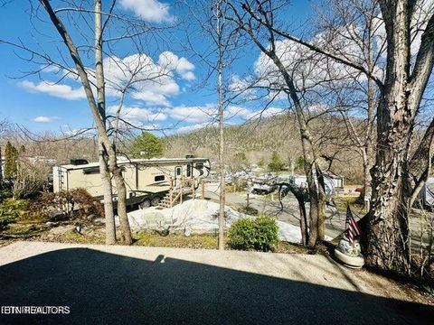 Photo of 36 Highway 73, Townsend, TN 37882 (MLS # 1323280)