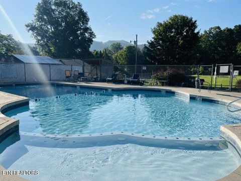 Tiny photo for 36 Highway 73, Townsend, TN 37882 (MLS # 1323280)