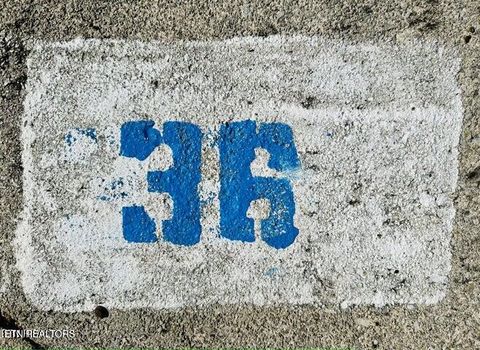 Tiny photo for 36 Highway 73, Townsend, TN 37882 (MLS # 1323280)