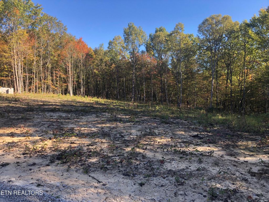 Photo of 319 Annabelle Way, Jamestown, TN 38556 (MLS # 1330178)