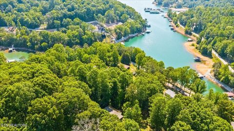 Tiny photo for 264 Rain Valley Rd, LaFollette, TN 37766 (MLS # 1341452)