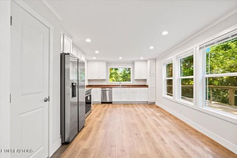 Tiny photo for 264 Rain Valley Rd, LaFollette, TN 37766 (MLS # 1341452)