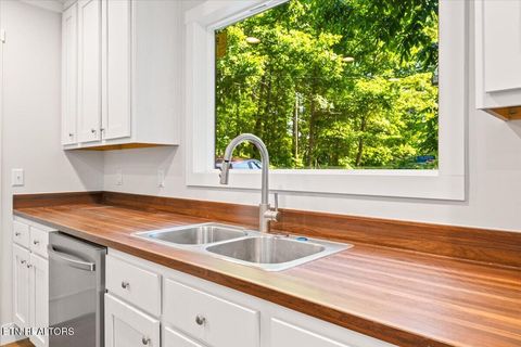 Tiny photo for 264 Rain Valley Rd, LaFollette, TN 37766 (MLS # 1341452)