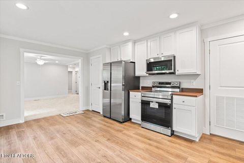 Tiny photo for 264 Rain Valley Rd, LaFollette, TN 37766 (MLS # 1341452)