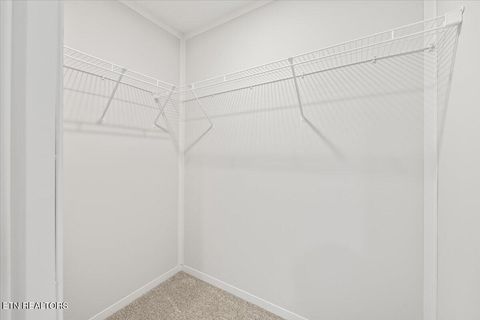 Tiny photo for 264 Rain Valley Rd, LaFollette, TN 37766 (MLS # 1341452)