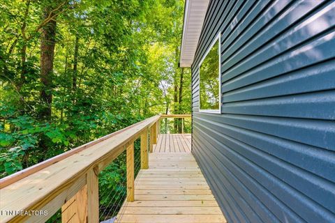 Tiny photo for 264 Rain Valley Rd, LaFollette, TN 37766 (MLS # 1341452)