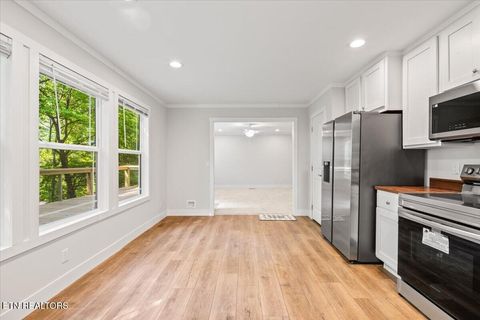Tiny photo for 264 Rain Valley Rd, LaFollette, TN 37766 (MLS # 1341452)