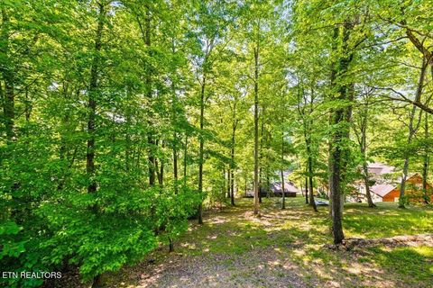 Tiny photo for 264 Rain Valley Rd, LaFollette, TN 37766 (MLS # 1341452)