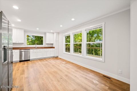 Tiny photo for 264 Rain Valley Rd, LaFollette, TN 37766 (MLS # 1341452)