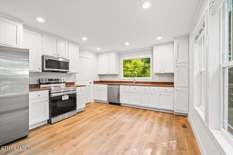 Tiny photo for 264 Rain Valley Rd, LaFollette, TN 37766 (MLS # 1341452)