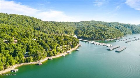 Tiny photo for 244 Lakeshore Drive, Maynardville, TN 37807 (MLS # 1340577)