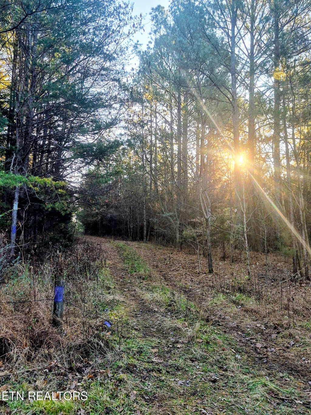 Photo of County Road 414, Englewood, TN 37329 (MLS # 1324160)