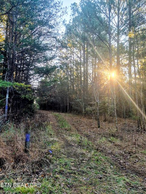 County Road 414 Englewood TN 37329