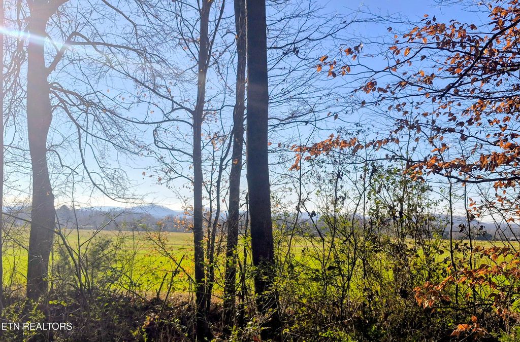 Photo of County Road 414, Englewood, TN 37329 (MLS # 1324160)