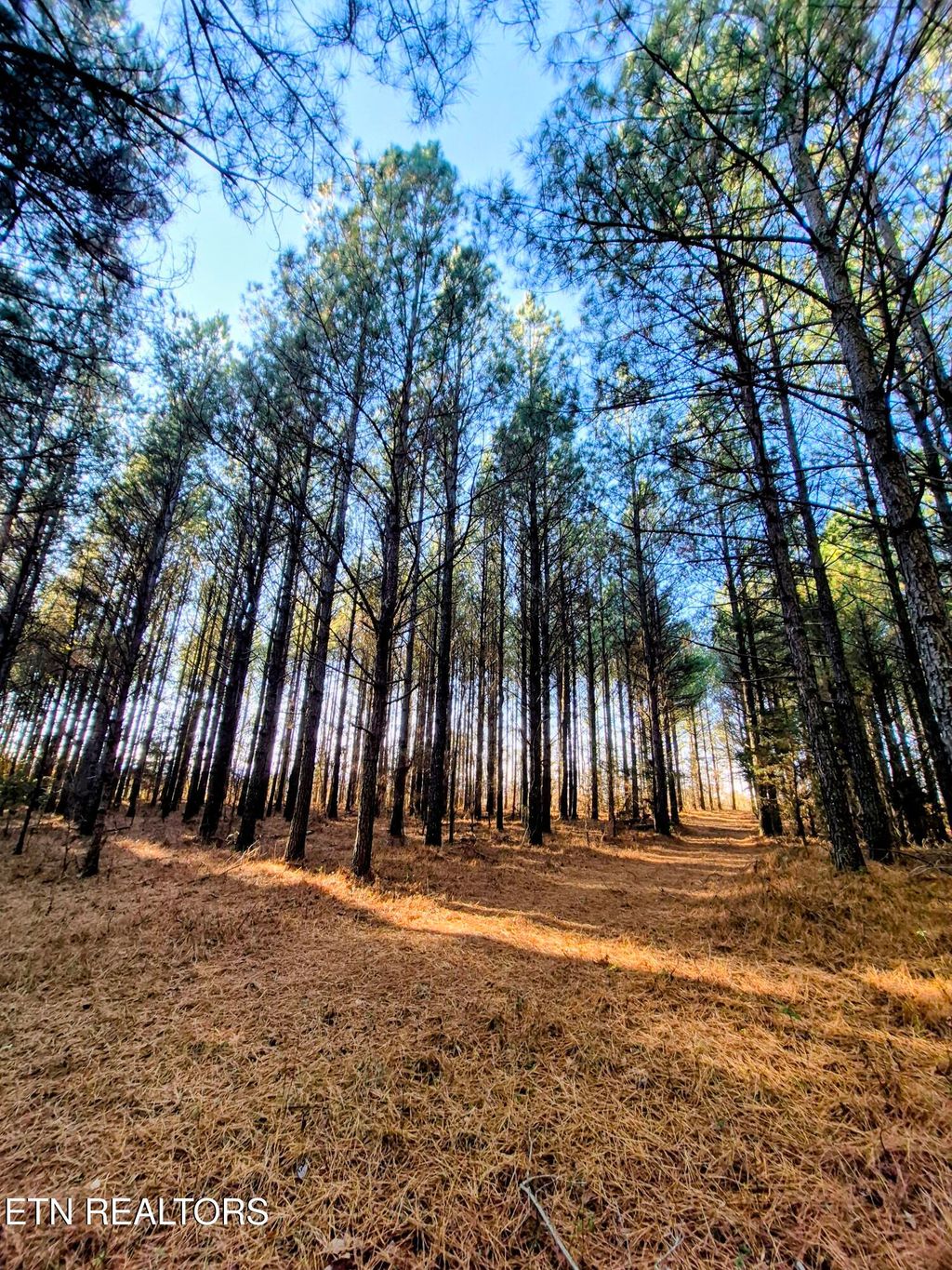 Photo of County Road 414, Englewood, TN 37329 (MLS # 1324160)