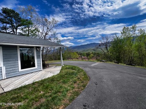 Tiny photo for 1030 Fox Tail Tr, Gatlinburg, TN 37738 (MLS # 1337048)