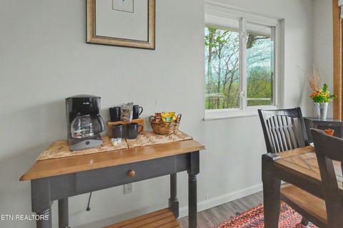 Tiny photo for 1030 Fox Tail Tr, Gatlinburg, TN 37738 (MLS # 1337048)