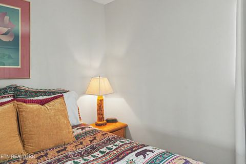 Tiny photo for 1030 Fox Tail Tr, Gatlinburg, TN 37738 (MLS # 1337048)