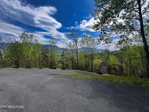 Tiny photo for 1030 Fox Tail Tr, Gatlinburg, TN 37738 (MLS # 1337048)
