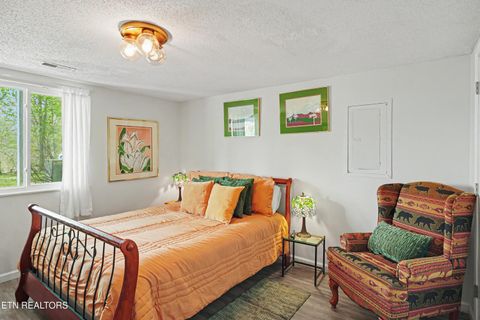 Tiny photo for 1030 Fox Tail Tr, Gatlinburg, TN 37738 (MLS # 1337048)