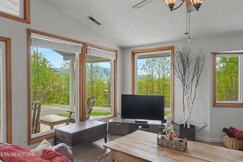 Tiny photo for 1030 Fox Tail Tr, Gatlinburg, TN 37738 (MLS # 1337048)