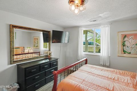 Tiny photo for 1030 Fox Tail Tr, Gatlinburg, TN 37738 (MLS # 1337048)