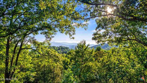 Tiny photo for 1135 Shady Grove Lane, Gatlinburg, TN 37738 (MLS # 1334304)