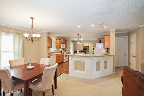 Tiny photo for 1366 Paradise Lane, Dandridge, TN 37725 (MLS # 1326598)