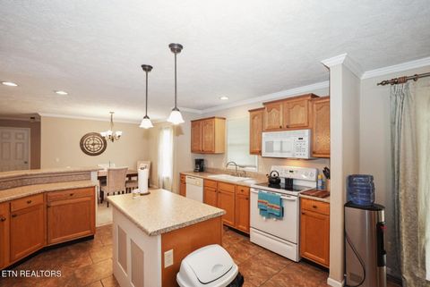 Tiny photo for 1366 Paradise Lane, Dandridge, TN 37725 (MLS # 1326598)