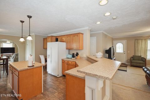 Tiny photo for 1366 Paradise Lane, Dandridge, TN 37725 (MLS # 1326598)