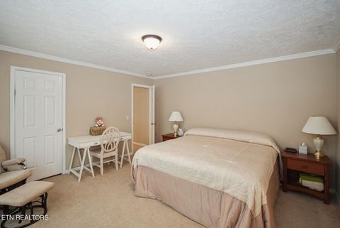 Tiny photo for 1366 Paradise Lane, Dandridge, TN 37725 (MLS # 1326598)