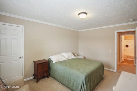 Tiny photo for 1366 Paradise Lane, Dandridge, TN 37725 (MLS # 1326598)