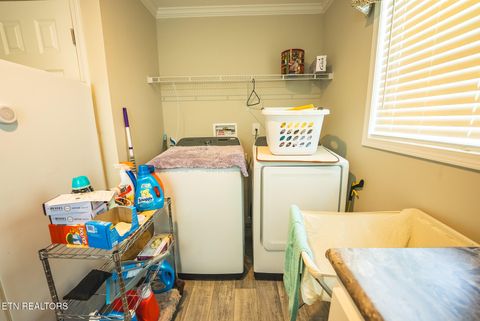Tiny photo for 152 Keisling Rd, Bybee, TN 37713 (MLS # 1338486)