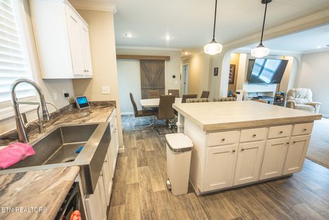 Tiny photo for 152 Keisling Rd, Bybee, TN 37713 (MLS # 1338486)