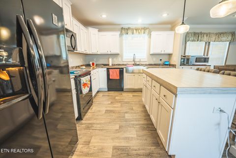 Tiny photo for 152 Keisling Rd, Bybee, TN 37713 (MLS # 1338486)