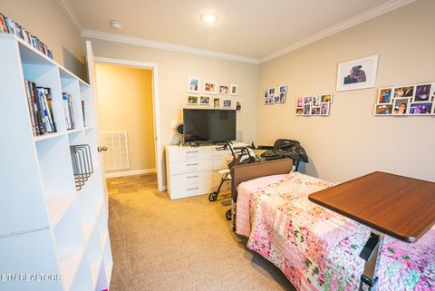 Tiny photo for 152 Keisling Rd, Bybee, TN 37713 (MLS # 1338486)