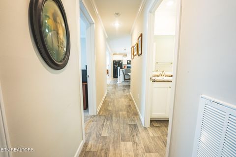 Tiny photo for 152 Keisling Rd, Bybee, TN 37713 (MLS # 1338486)