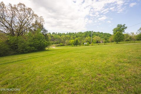 Tiny photo for 152 Keisling Rd, Bybee, TN 37713 (MLS # 1338486)