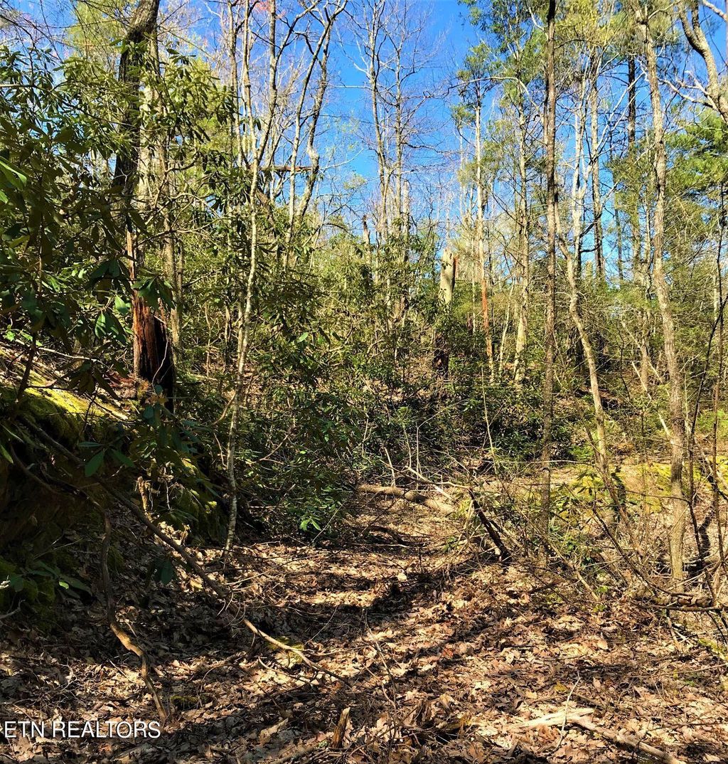 Photo of Rivendell Lane, Tellico Plains, TN 37385 (MLS # 1247657)