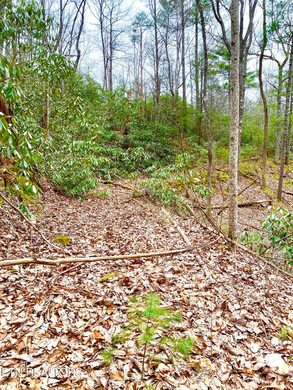 Photo of Rivendell Lane, Tellico Plains, TN 37385 (MLS # 1247657)
